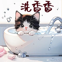 洗香香 猫猫