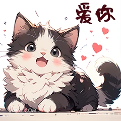 爱你 猫猫