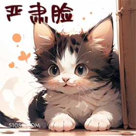 严肃脸 猫猫