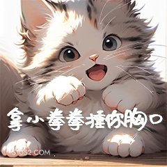 拿小拳拳你胸口 猫猫