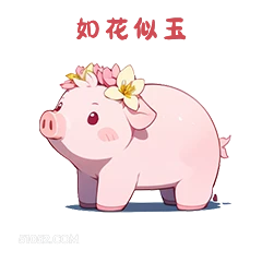 如花似玉 小猪