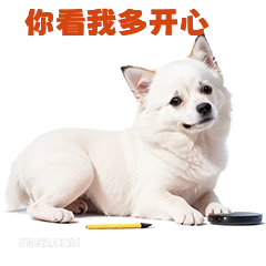 你播我多开心 打工人