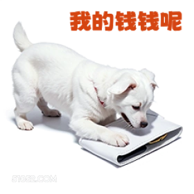 我的钱钱呢 打工人