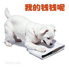 我的钱钱呢 打工人