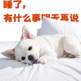 了, 有什么事天说 打工人