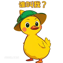 谁叫我？ 小鸭子