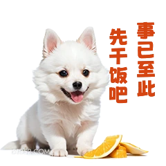 先干饭吧 已至此 打工人