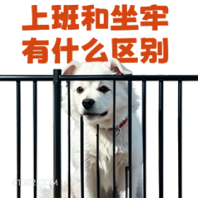 上班和坐牢 有什么区 打工人