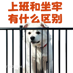 上班和坐牢 有什么区 打工人