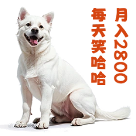 每未哈 NX200 打工人