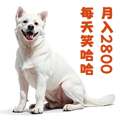 每未哈 NX200 打工人