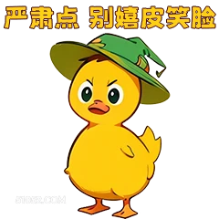 严肃点别嬉皮笑脸 小鸭子