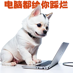 电脑都修你烂 打工人