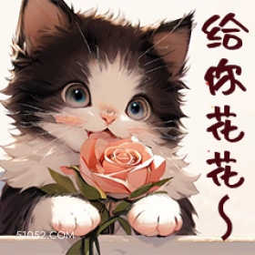 给你花花 猫猫