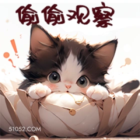 偷偷观察 猫猫