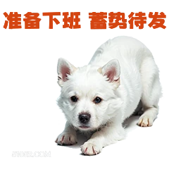 准备下班警路待发 打工人