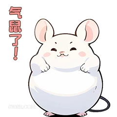 气鼠了! 可爱