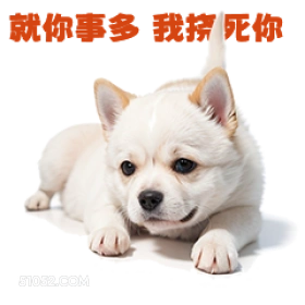 就你事多我招氏你 打工人