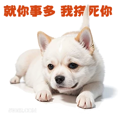 就你事多我招氏你 打工人