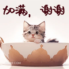 加满，谢谢 猫猫