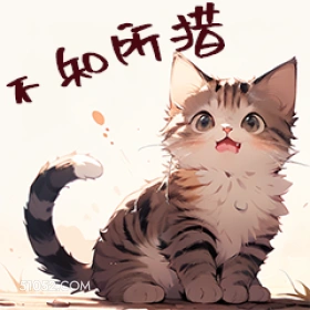 猫猫 猫猫