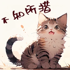 猫猫 猫猫