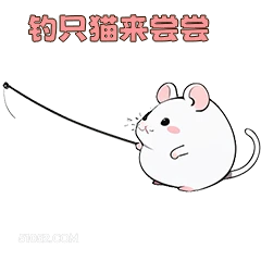 钓只猫来尝尝 可爱