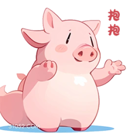 小猪 小猪