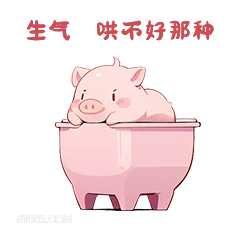 生气哄币好部种 小猪