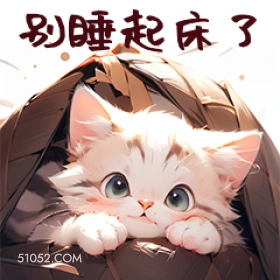 别睡起床了 猫猫