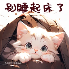 别睡起床了 猫猫