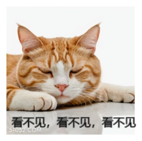猫猫搞笑 猫猫