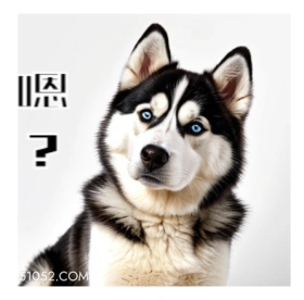 傻吊狗狗辣鸡 辣鸡