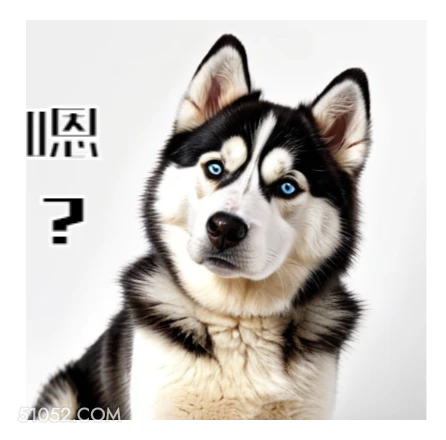 傻吊狗狗辣鸡 辣鸡