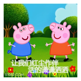 搞笑小猪 小猪