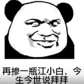 再掺一瓶江小白，今  大G