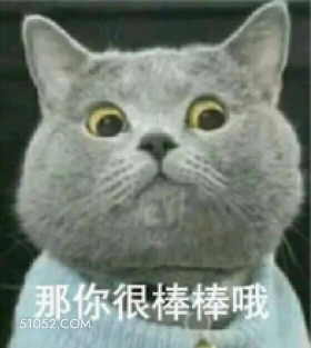 猫猫 