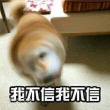 我不信我不信 动物