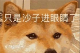 只是沙子进眼睛 可爱 大哥 搞怪 狗子