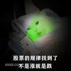 股票的规律找到了 不 炒股 卡通 优雅 有工作 功夫
