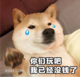 你们玩吧 我已经没钱 狗子 萌宠 狗 二哈