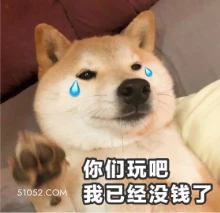 你们玩吧 我已经没钱 狗子 狗 二哈 萌宠