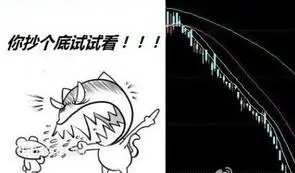 你抄个底试试看！！！ 炒股 卡通 优雅 有工作 功夫