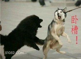 卧槽 ! 玩梗 辣鸡 wow