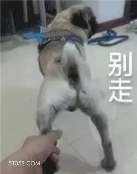 别走 玩梗 辣鸡 wow