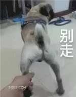 别走 玩梗 辣鸡 wow