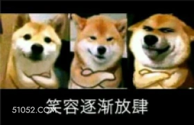 笑容逐渐放肆 狗子 萌宠 狗 二哈