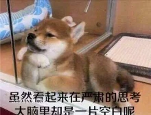 虽然看起来在严肃的思 萌宠 狗 二哈