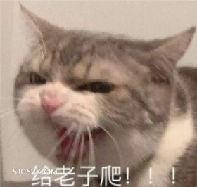 给老子爬！ !! 可爱 不好惹 猫猫 猫咪