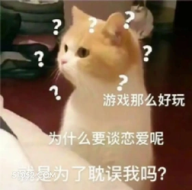 A ? ? 游戏那么 可爱 不好惹 猫猫 猫咪